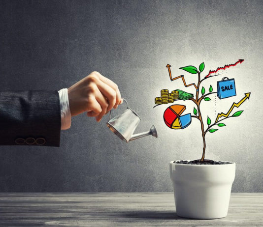 Chegou a hora dos investimentos! Acompanhe a minha carteira comentada