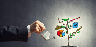 Chegou a hora dos investimentos! Acompanhe a minha carteira comentada