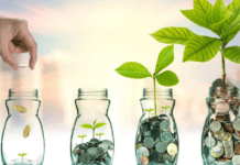 Como a renda variável é aplicada à minha carteira previdenciária