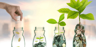 Como a renda variável é aplicada à minha carteira previdenciária