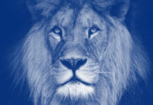 Tudo o que você precisa saber para declarar os lucros da bolsa de valores no seu Imposto de Renda declarar lucros da bolsa de valores no imposto de renda