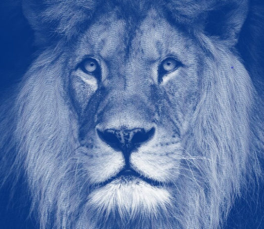 Como declarar suas ações no Imposto de Renda declarar lucros da bolsa de valores no imposto de renda