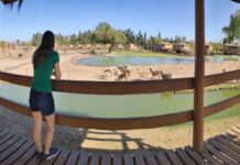 Nosso terceiro dia aproveitando as maravilhas chilenas Nosso terceiro dia aproveitando as maravilhas chilenas