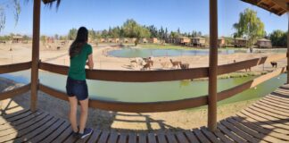 Nosso terceiro dia aproveitando as maravilhas chilenas Nosso terceiro dia aproveitando as maravilhas chilenas