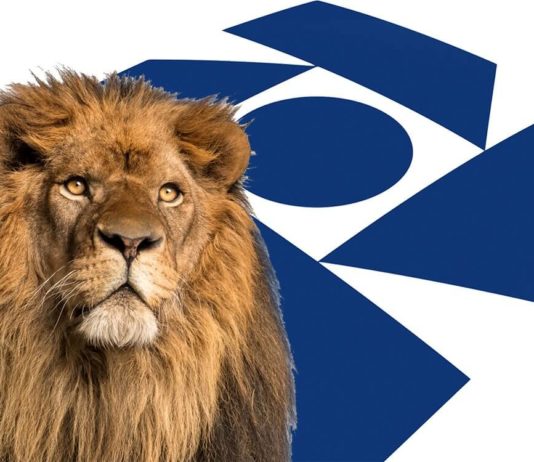 Tudo o que o investidor precisa saber para declarar o IR