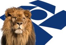 Tudo o que o investidor precisa saber para declarar o IR