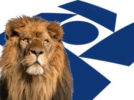 Tudo o que o investidor precisa saber para declarar o IR