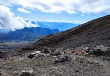 Dinheiro não compra felicidade, mas compra aventuras e experiências