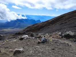 Dinheiro não compra felicidade, mas compra aventuras e experiências