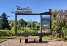 Menos tempo do que o esperado, mas valeu a pena Púcon no Chile