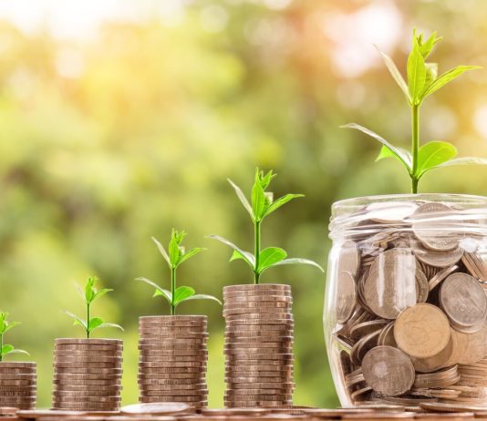 Carteira de Dividendos – Julho de 2023 carteira de dividendos