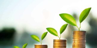 Carteira de Dividendos – Fevereiro de 2025