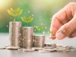 Carteira de Dividendos – Outubro de 2025