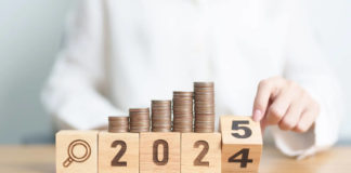 Resumo Anual: Crescimento Financeiro e Planos para 2025