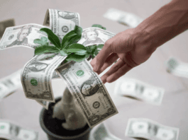 Crescimento na Renda passiva projetiva