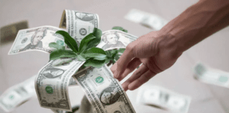 Crescimento na Renda passiva projetiva