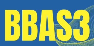 Banco do Brasil em 2025: Desafios, Resultados e Perspectivas para Investidores